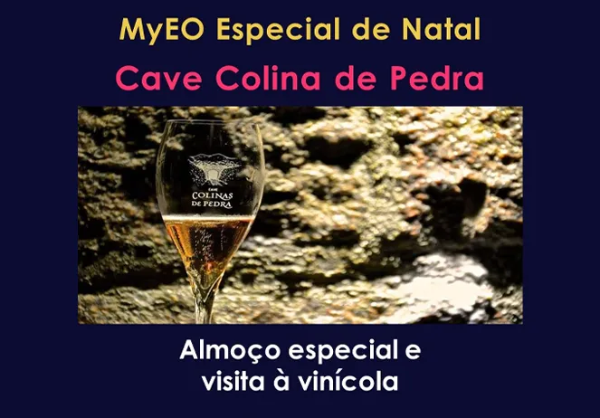 Leia mais sobre o artigo Almoço especial e visita à vinicola – Especial de Natal